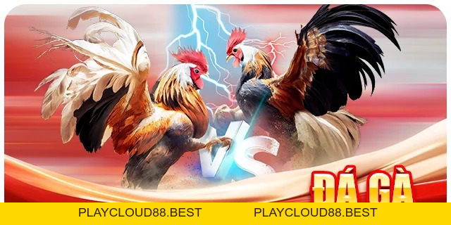 JW88 – Thiên Đường Giải Trí Cá Cược Trực Tuyến Uy Tín Hàng Đầu Châu Á
